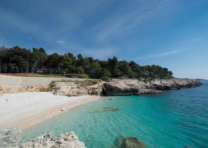 Mendikovic 11022 公寓