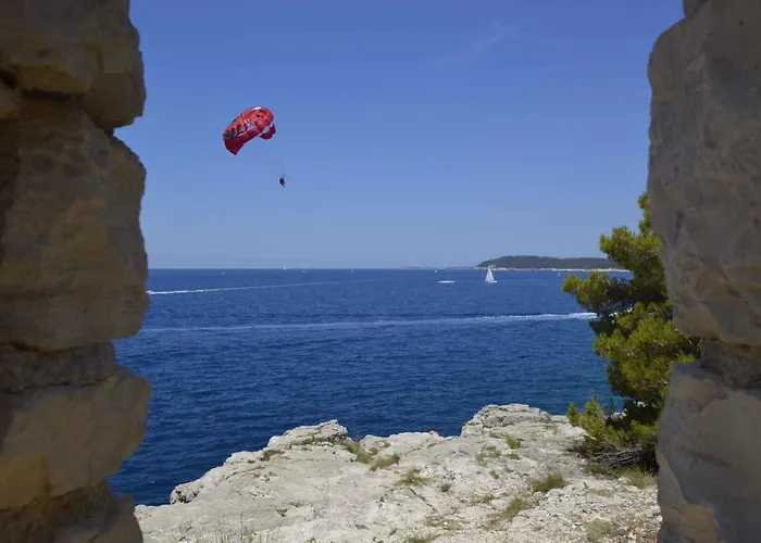 Mendikovic 11022 * 普拉