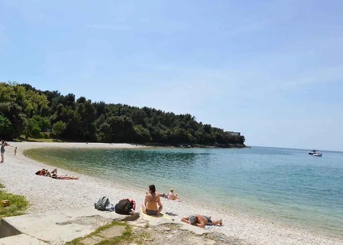 公寓 Mendikovic 11022